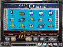 Play Card Shark Slots now!